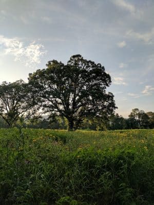 Spring City Nature Park