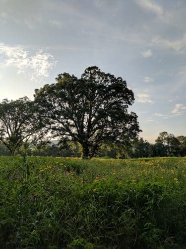 Spring City Nature Park
