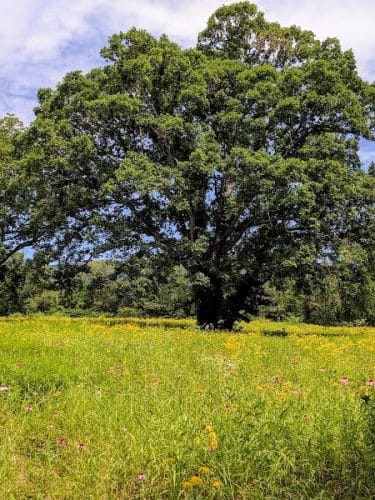 Spring City Nature Park