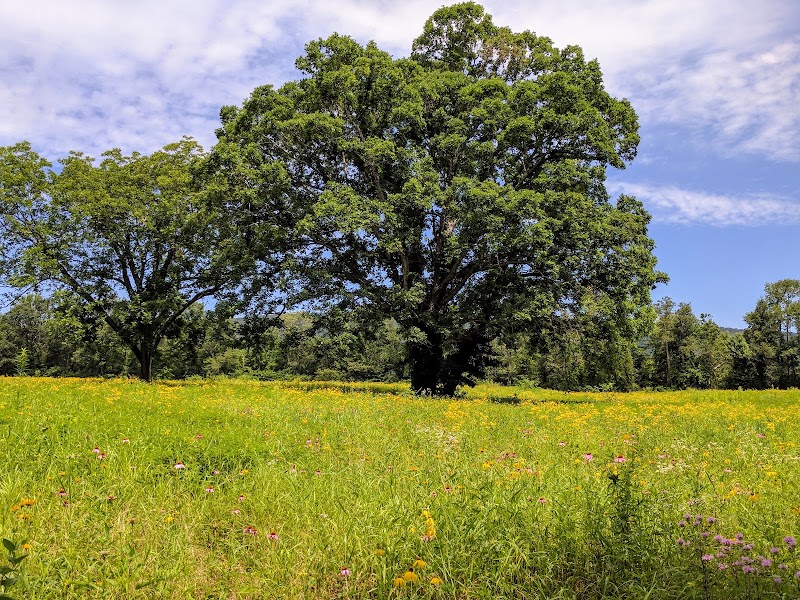 Spring City Nature Park - Spring City, TN