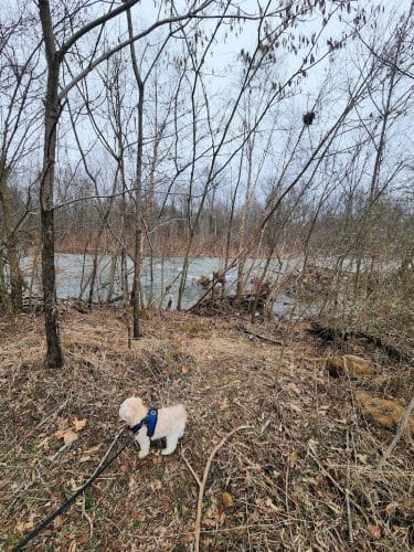 Spring City Nature Park