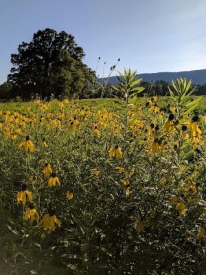 Spring City Nature Park