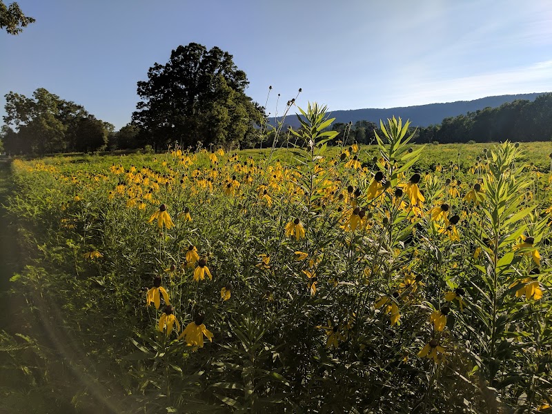 Spring City Nature Park - Spring City, TN