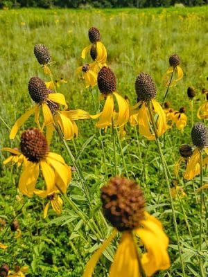 Spring City Nature Park