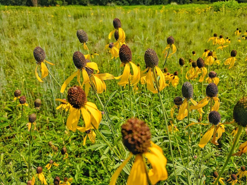 Spring City Nature Park - Spring City, TN