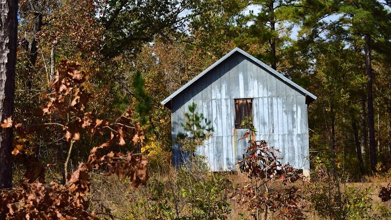 Carvers Creek State Park - Spring Lake, NC