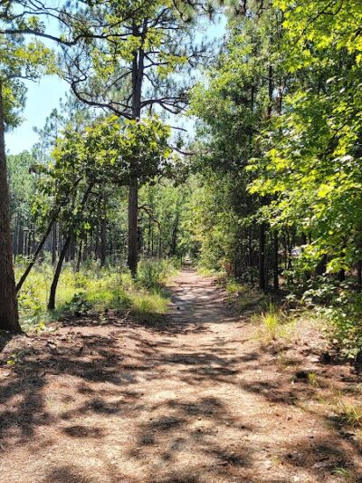 Carvers Creek State Park - Spring Lake, NC
