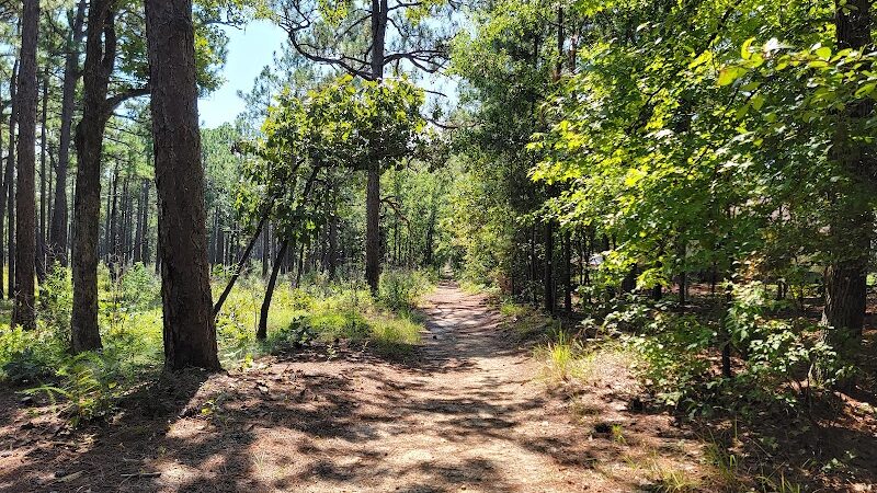 Carvers Creek State Park - Spring Lake, NC