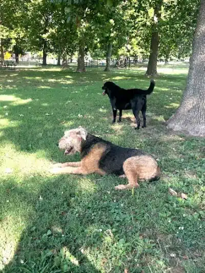 Rotary Dog Park - Springdale, AR