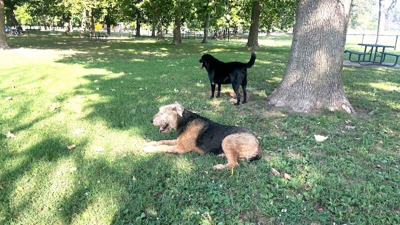 Rotary Dog Park - Springdale, AR