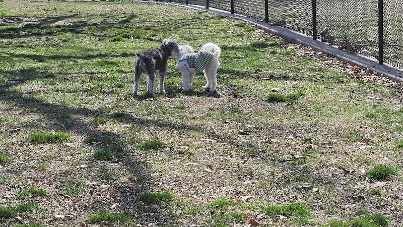 Rotary Dog Park - Springdale, AR