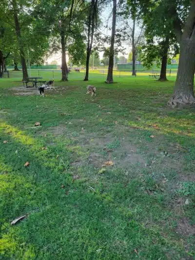 Rotary Dog Park - Springdale, AR