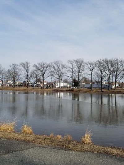 Springfield Park - Springfield Gardens, NY