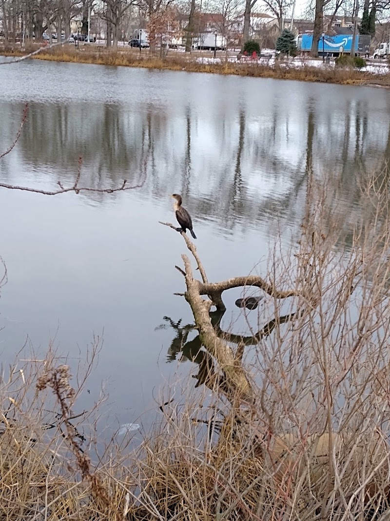 Springfield Park - Springfield Gardens, NY