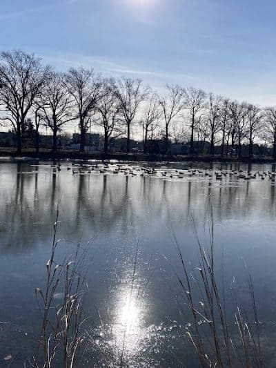 Springfield Park - Springfield Gardens, NY