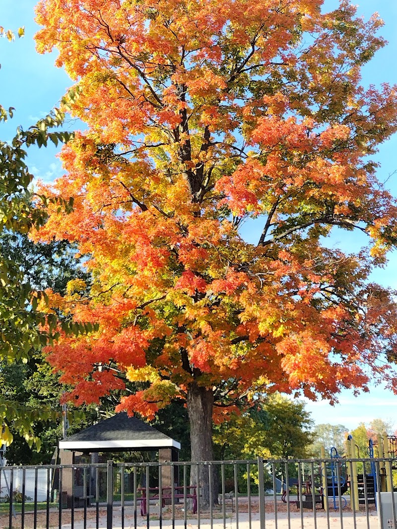 Adams Park - Springfield, MA