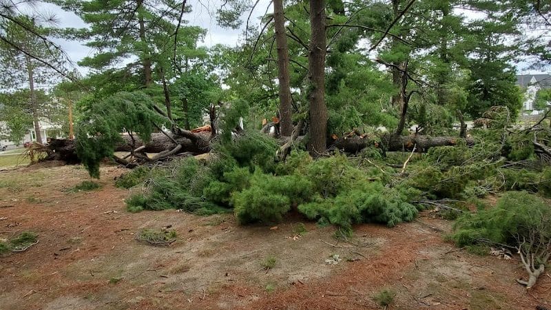 Cottage Hill Park - Springfield, MA