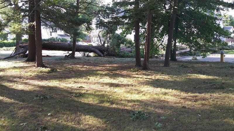 Cottage Hill Park - Springfield, MA