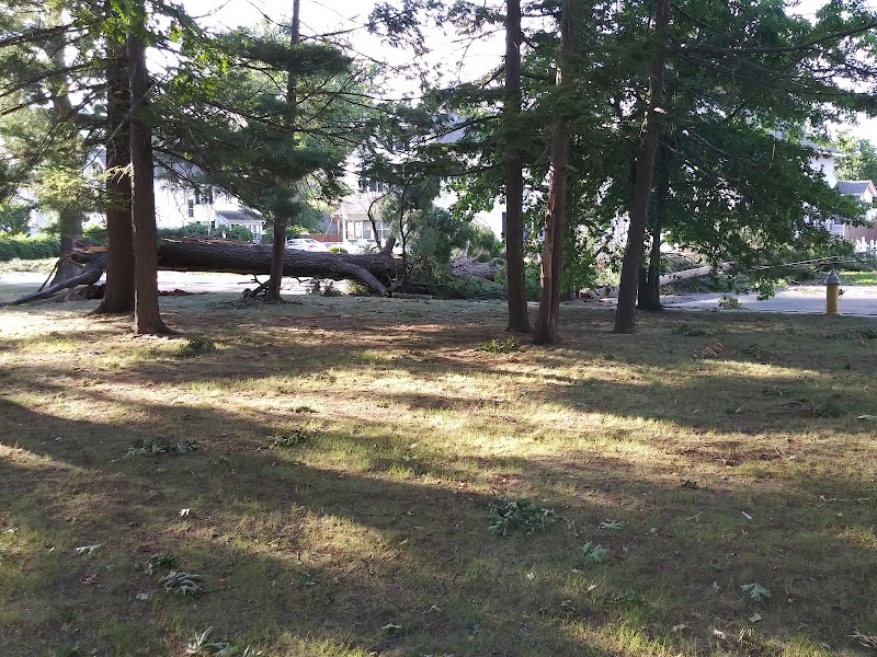 Cottage Hill Park - Springfield, MA