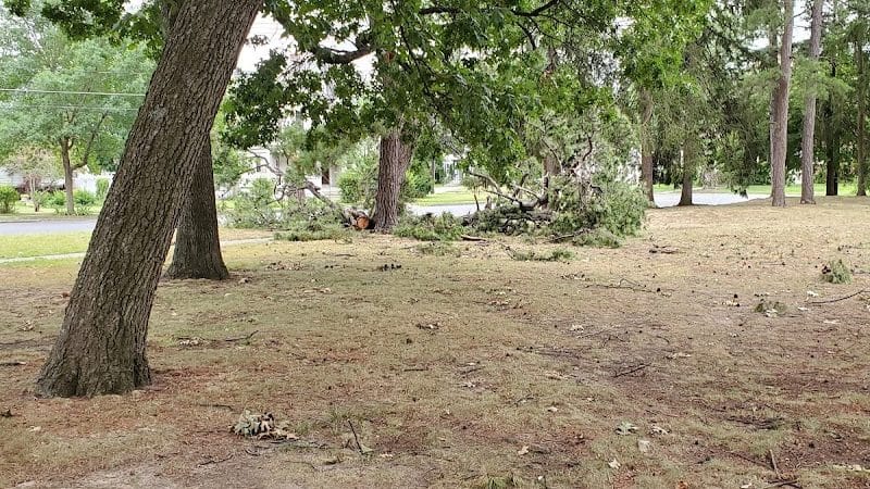 Cottage Hill Park - Springfield, MA