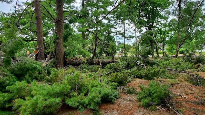 Cottage Hill Park - Springfield, MA