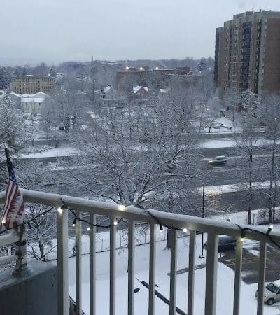 Emily Bill Park - Springfield, MA