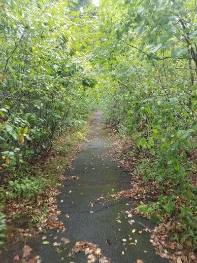 Sixteen Acres School Playground - Springfield, MA