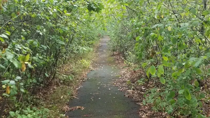Sixteen Acres School Playground - Springfield, MA