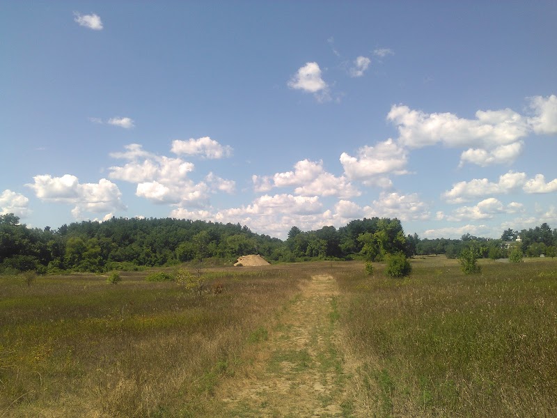 Tamarack Bog - Springfield, MA