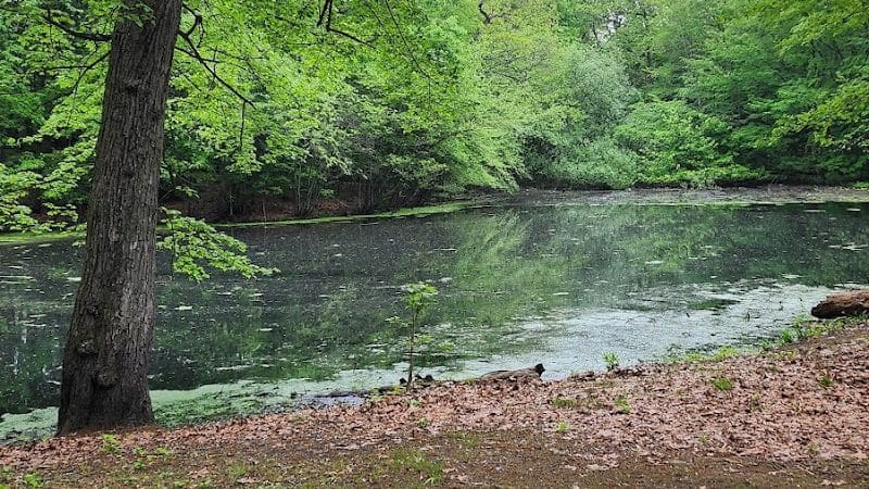 Van Horn Park - Springfield, MA