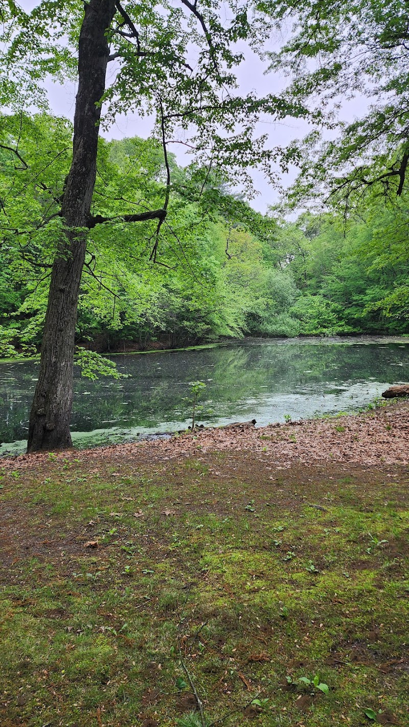 Van Horn Park - Springfield, MA