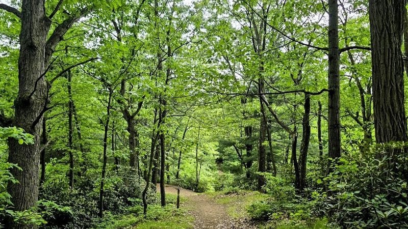 Van Horn Park - Springfield, MA