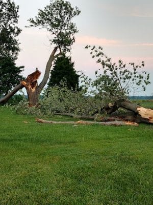 Saint Francisville Riverside Park & Campground - St Francisville, IL