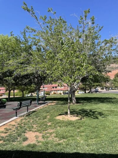 Black Hill View Park - St. George, UT