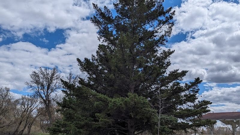 Saint Hilaire City Park - St Hilaire, MN