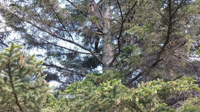 Saint Hilaire City Park - St Hilaire, MN