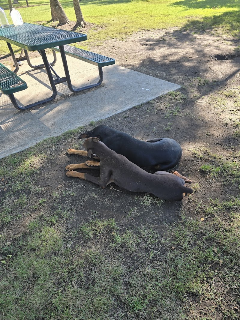 Unleashed Dog Park - St James, MN