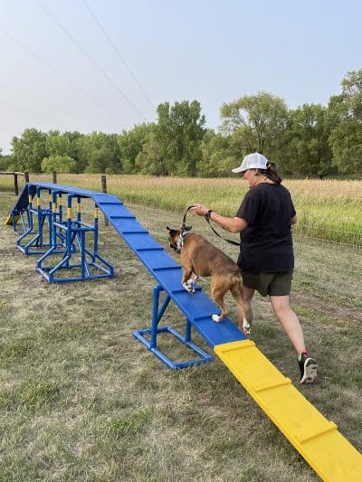 Unleashed Dog Park - St James, MN