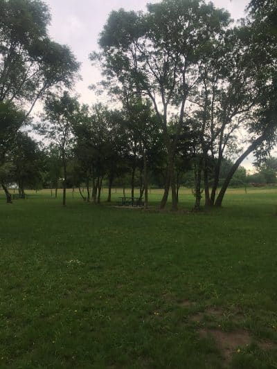 Unleashed Dog Park - St James, MN