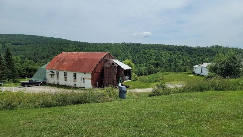 Dog Mountain, Home of Stephen Huneck Gallery - St Johnsbury, VT
