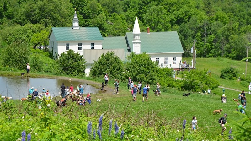 Dog Mountain, Home of Stephen Huneck Gallery - St Johnsbury, VT
