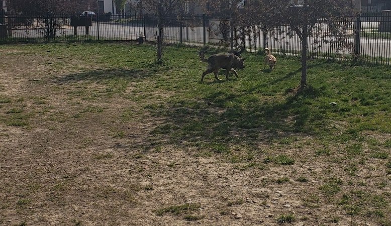 Forest Park Southeast Members Only Dog Park - St. Louis, MO