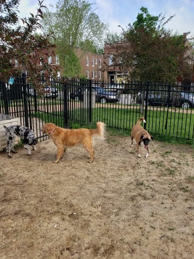 Forest Park Southeast Members Only Dog Park - St. Louis, MO