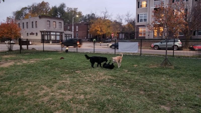 Forest Park Southeast Members Only Dog Park - St. Louis, MO