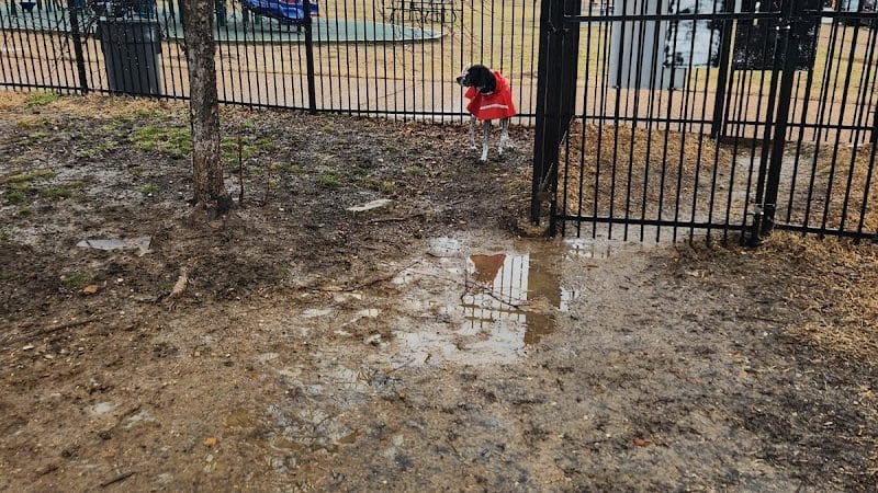 Forest Park Southeast Members Only Dog Park - St. Louis, MO