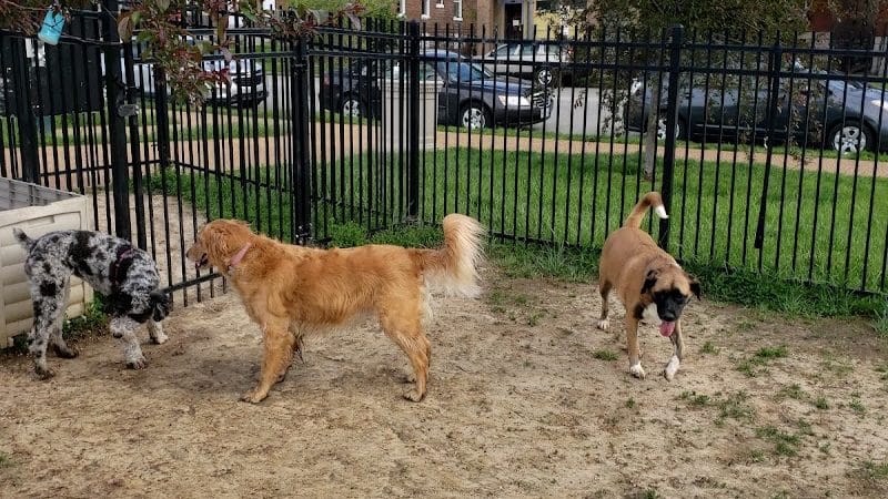 Forest Park Southeast Members Only Dog Park - St. Louis, MO