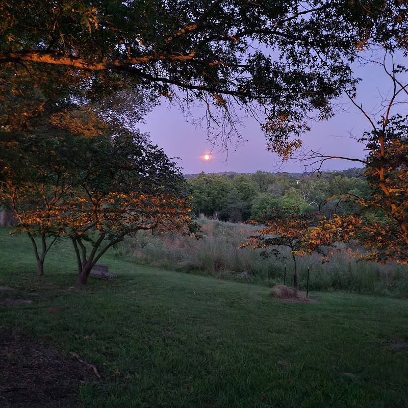 Queeny Park - St. Louis, MO
