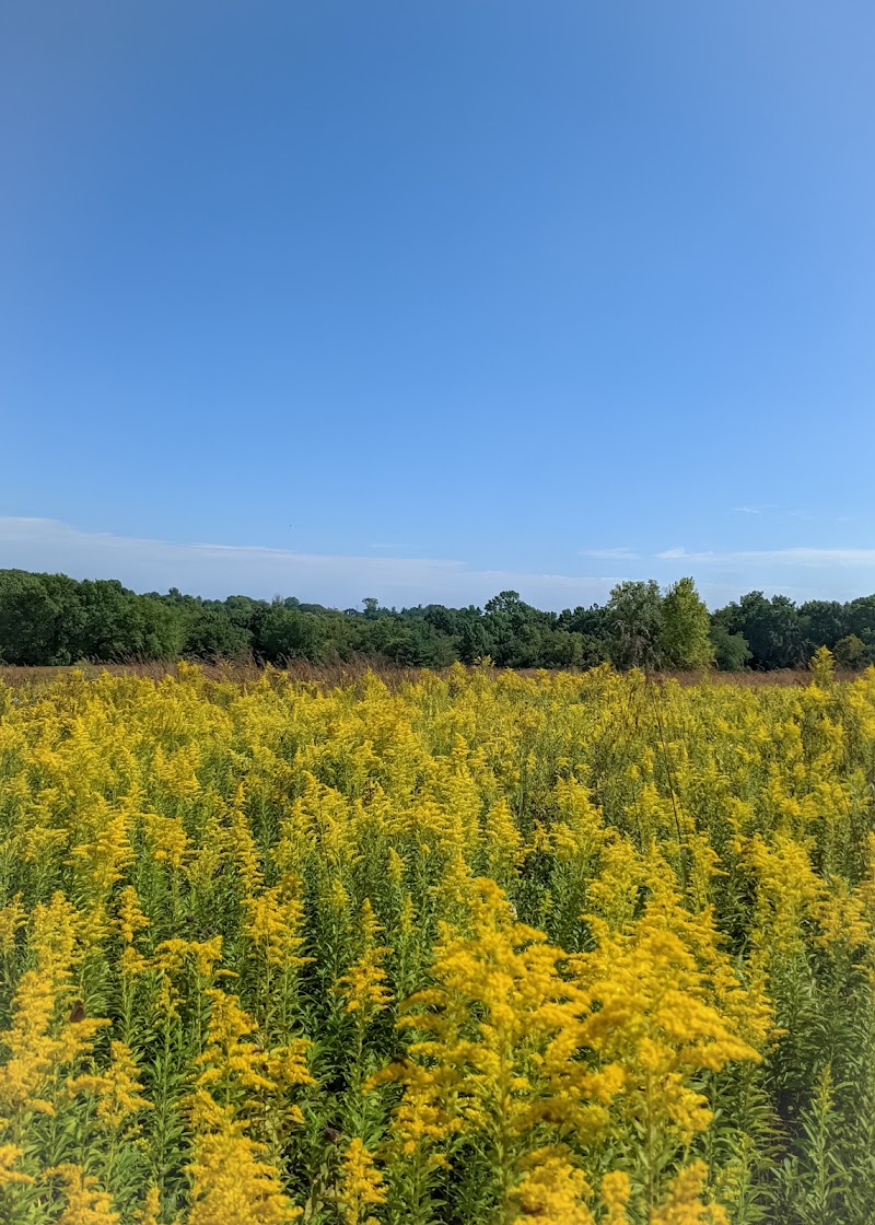 Queeny Park - St. Louis, MO