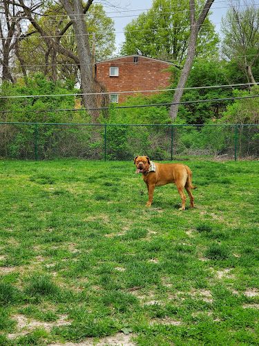 Wayside Park Unleashed Dog Park (membership only)