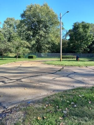 Wayside Park Unleashed Dog Park (membership only)